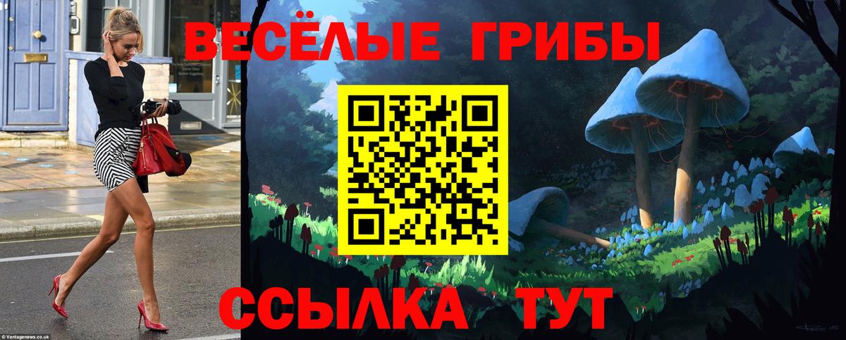Галлюциногенные грибы мицелий Тверь