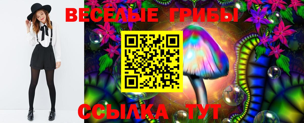 Галлюциногенные грибы GOLDEN TEACHER  Галлюциногенные грибы Psilocybe  Тверь  Вход с VPN 